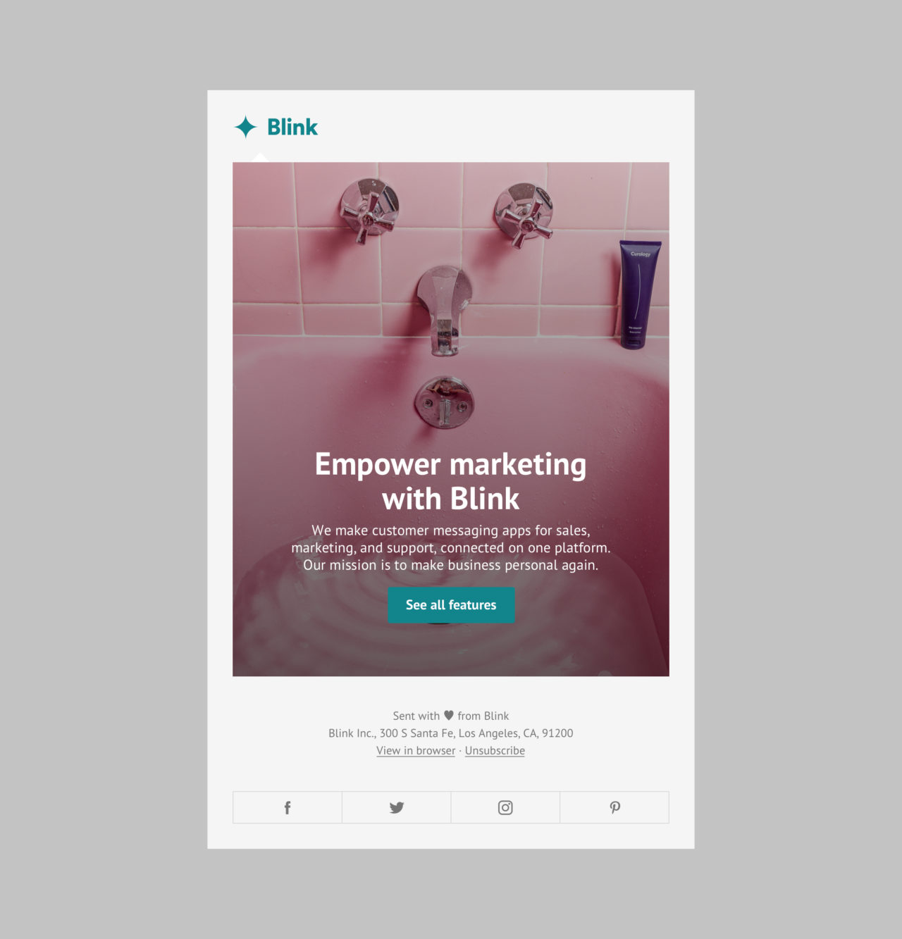 Blink: Launch Email